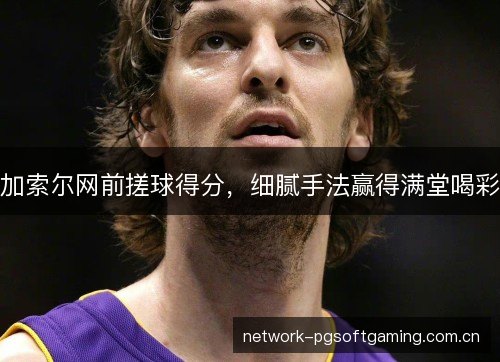加索尔网前搓球得分,细腻手法赢得满堂喝彩 加索尔网前搓球得分,细腻手法赢得满堂喝彩